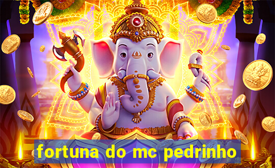 fortuna do mc pedrinho