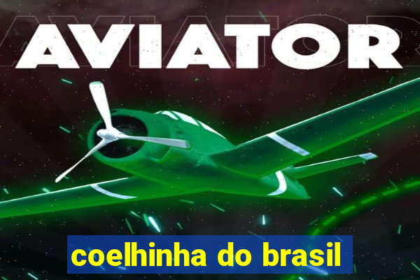 coelhinha do brasil