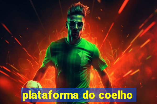 plataforma do coelho
