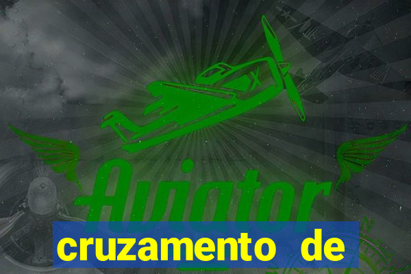 cruzamento de cavalo com mula