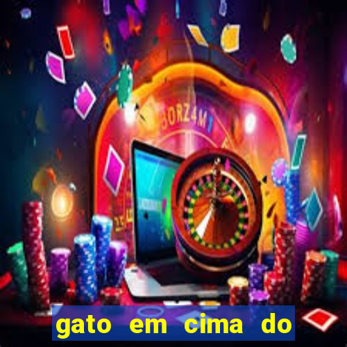 gato em cima do telhado significado espiritual