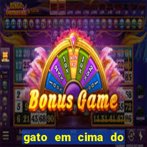 gato em cima do telhado significado espiritual