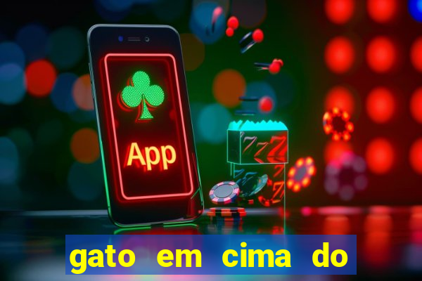gato em cima do telhado significado espiritual