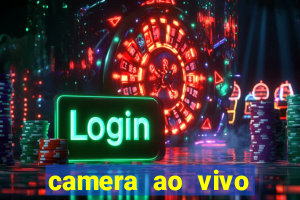 camera ao vivo beto carrero