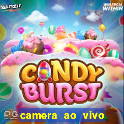 camera ao vivo beto carrero