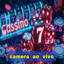 camera ao vivo beto carrero