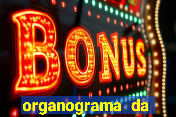 organograma da cacau show