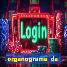 organograma da cacau show