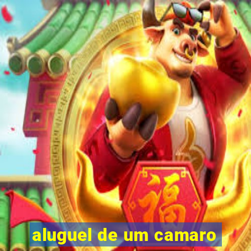 aluguel de um camaro