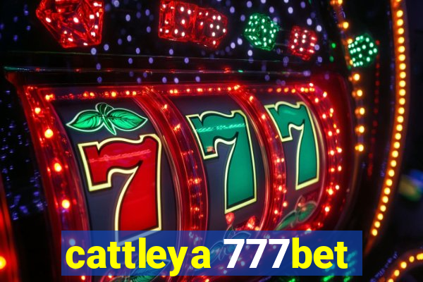 cattleya 777bet