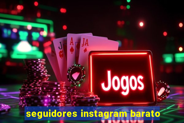 seguidores instagram barato