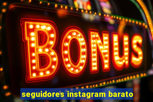 seguidores instagram barato