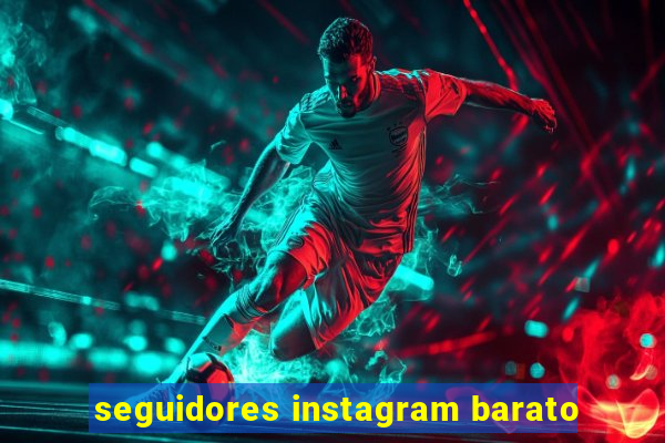 seguidores instagram barato