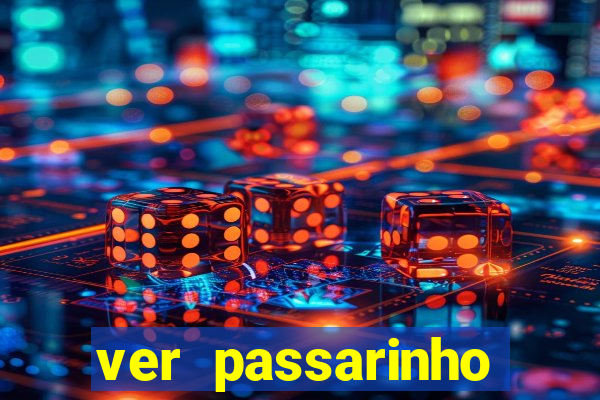 ver passarinho morto significado