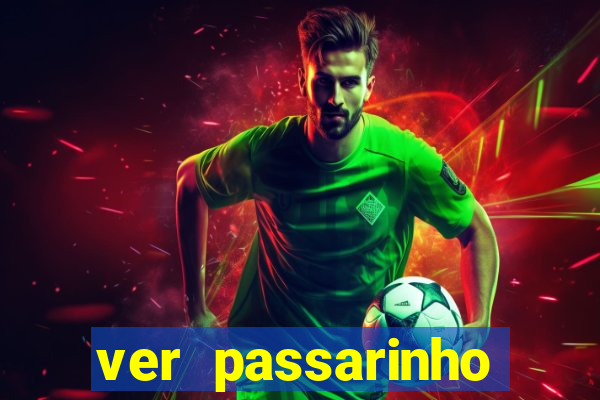 ver passarinho morto significado