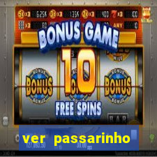 ver passarinho morto significado