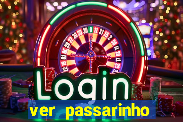 ver passarinho morto significado