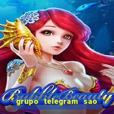 grupo telegram sao jose do rio preto