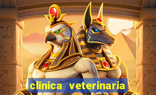 clinica veterinaria cuidar betim
