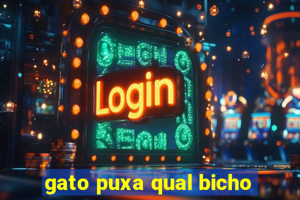 gato puxa qual bicho