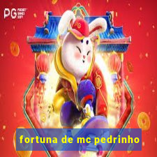 fortuna de mc pedrinho
