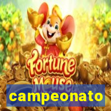 campeonato brasileiro standings