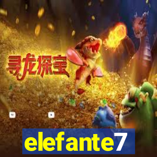 elefante7
