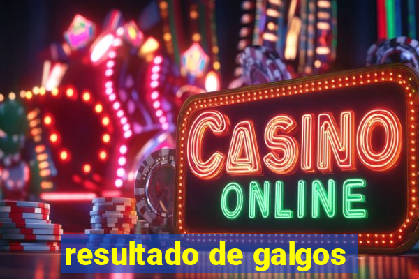 resultado de galgos