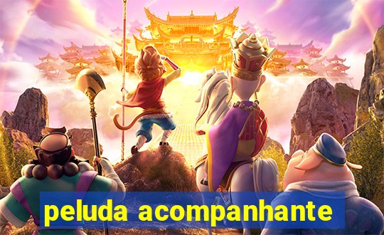 peluda acompanhante