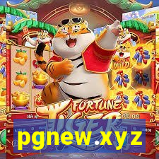 pgnew.xyz
