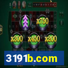 3191b.com