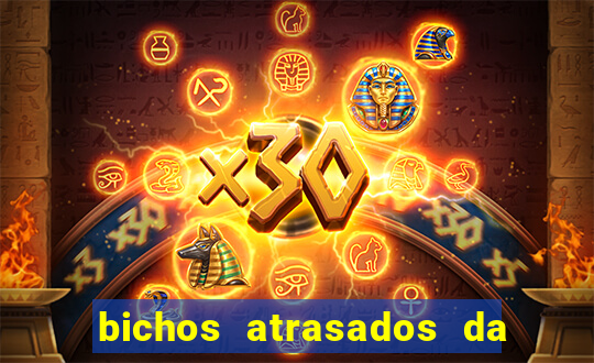 bichos atrasados da loteria federal