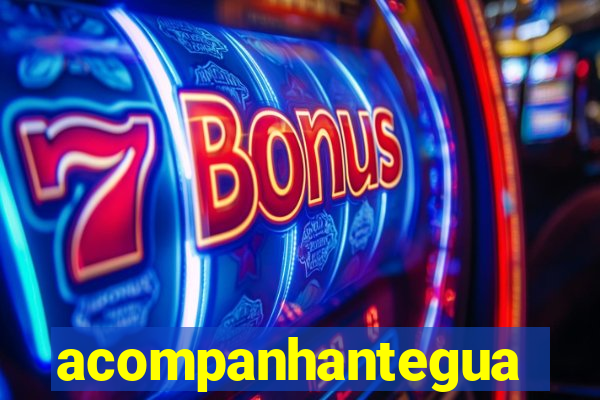 acompanhanteguanambi