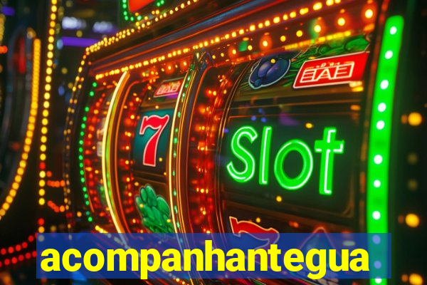 acompanhanteguanambi