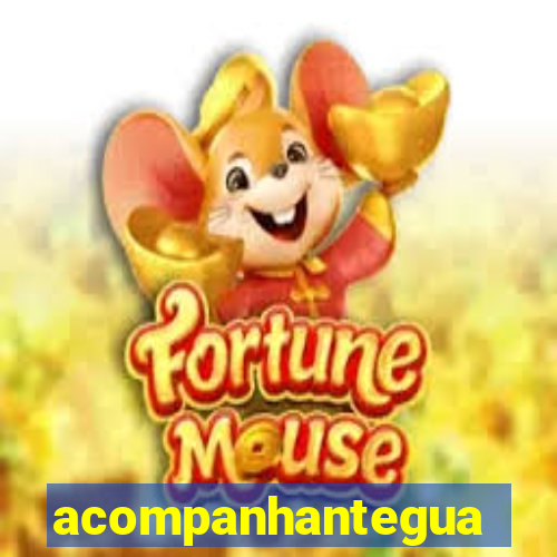 acompanhanteguanambi