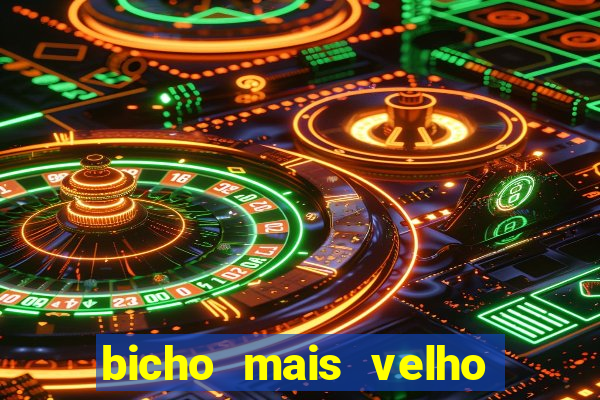 bicho mais velho da loteria dos sonhos