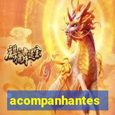 acompanhantes cruzeiro sp