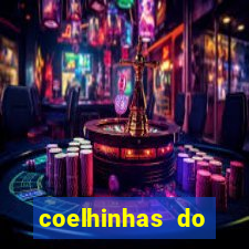coelhinhas do brasil acompanhantes