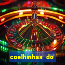 coelhinhas do brasil acompanhantes
