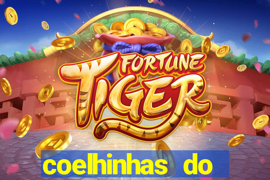 coelhinhas do brasil acompanhantes
