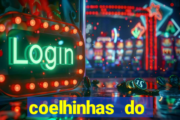coelhinhas do brasil acompanhantes