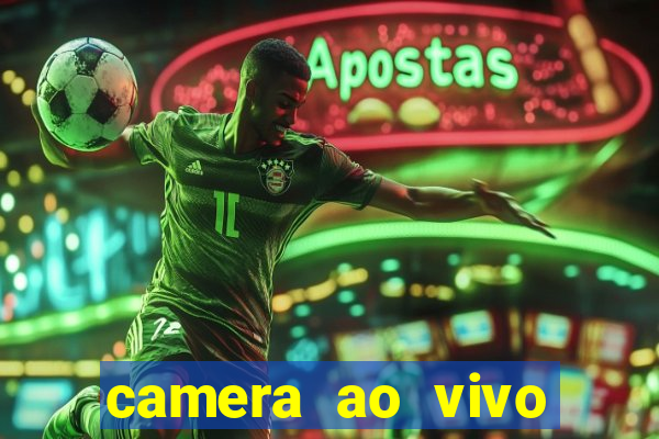 camera ao vivo terminal vila nova cachoeirinha