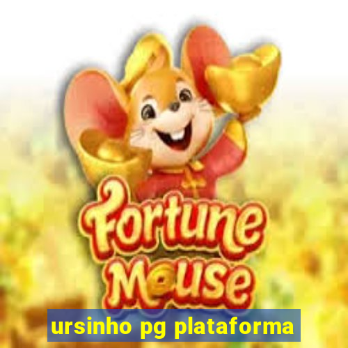 ursinho pg plataforma
