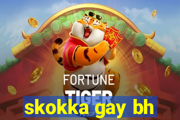 skokka gay bh