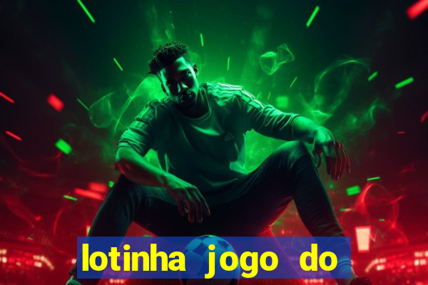 lotinha jogo do bicho como funciona