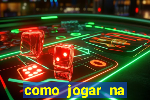como jogar na lotinha do jogo do bicho
