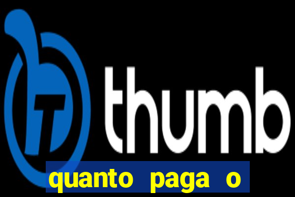 quanto paga o jungle fight