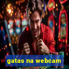 gatas na webcam