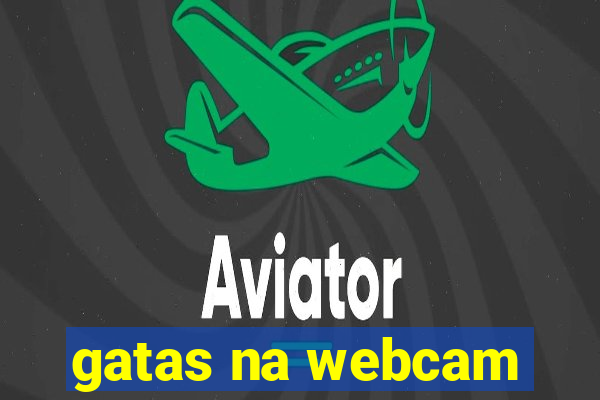 gatas na webcam