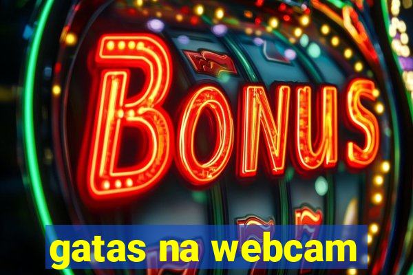 gatas na webcam